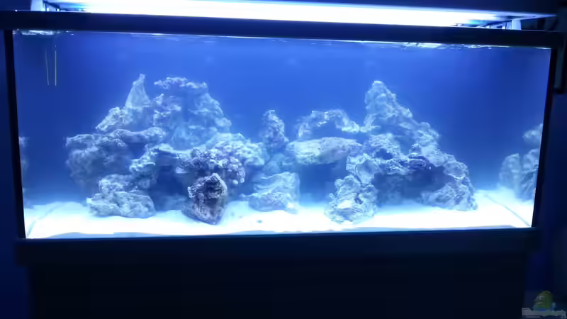 Vorderansicht vom Becken ! von urbi (59)