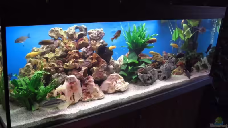 Vorderansicht von Alexander Wrede (1)