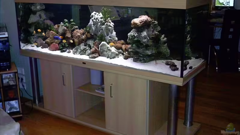 Vorderansicht von Markus Parthe (1)