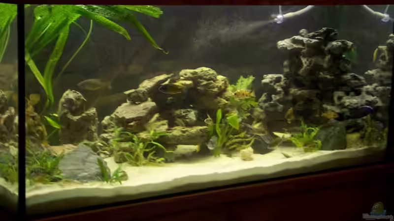 Vorderansicht von Monika Thiele (3)