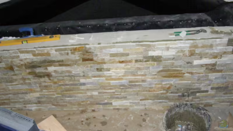 Vorderansicht von SeLo (4)