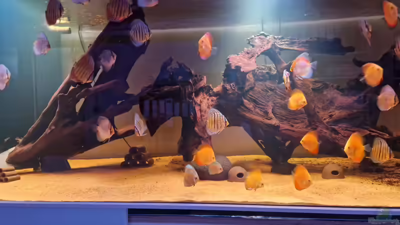 Vorderansicht von Stefan_KR (2)