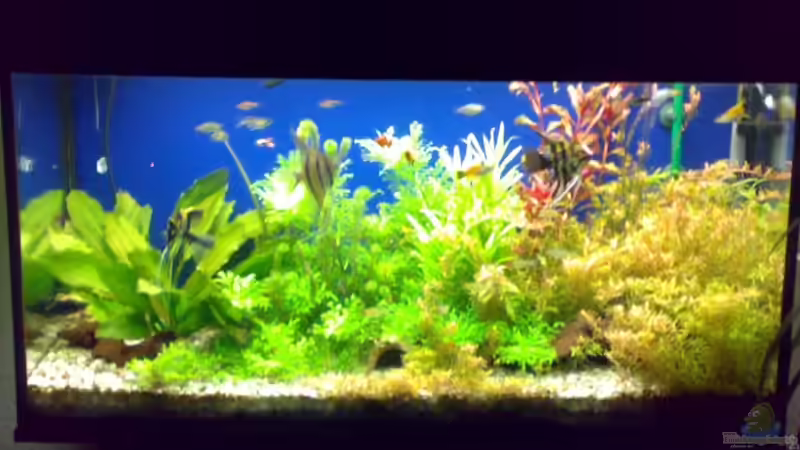 Vorderansicht von Sven Kaussow (1)