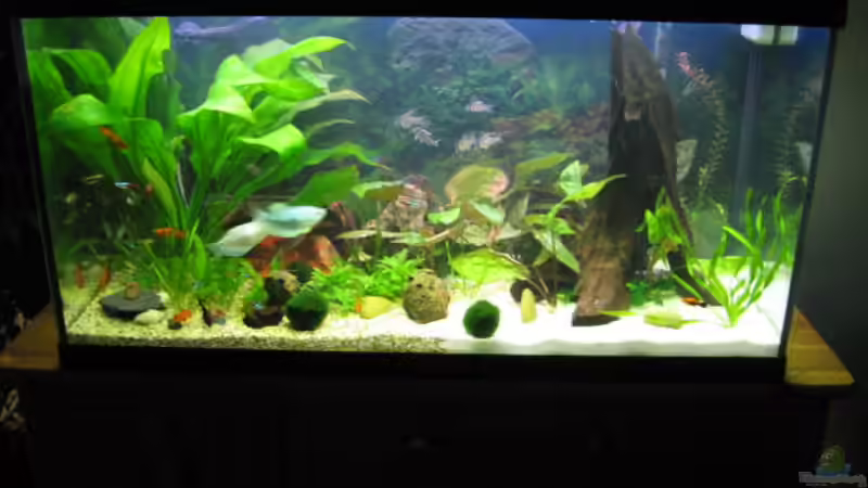 Vorderansicht Vorderansicht