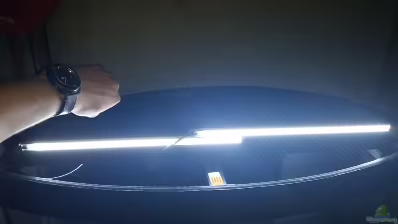 Vordere Led-Beleuchtung 5500k von Rotkopfsalmler (20)