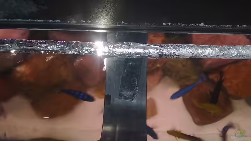 vordere Leuchtröhre komplett abgedunnkel Stand : März 2010 von Robert Verhülsdonk (17)