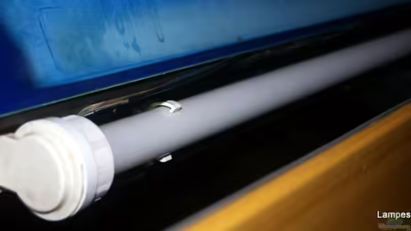 Vordere Röhre mit schwarzem Reflektor von Hr.Lampe (17)