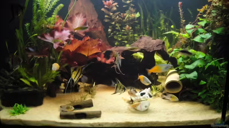 vordere Seite von Sabrina Plankensteiner (3)