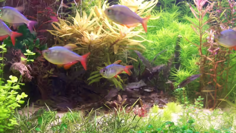 Vordergrund von Lotte und Hendo (30)