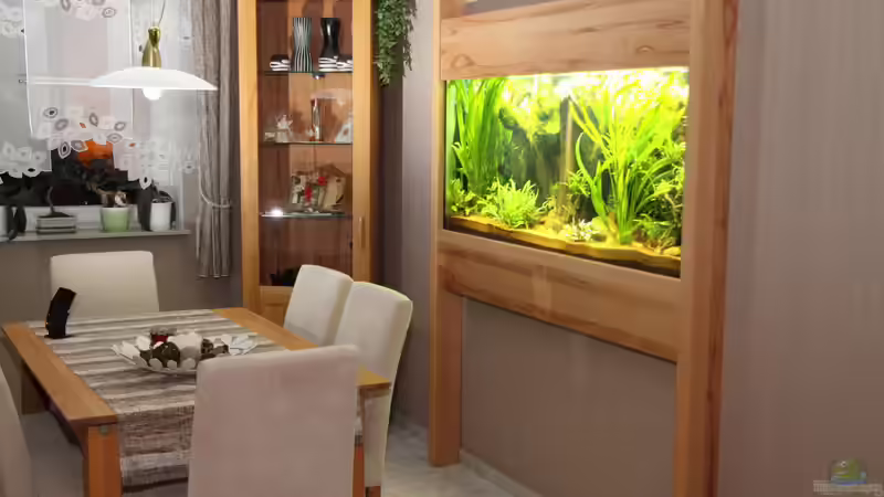 Vorderseite fertig von Armin Sauer (7)