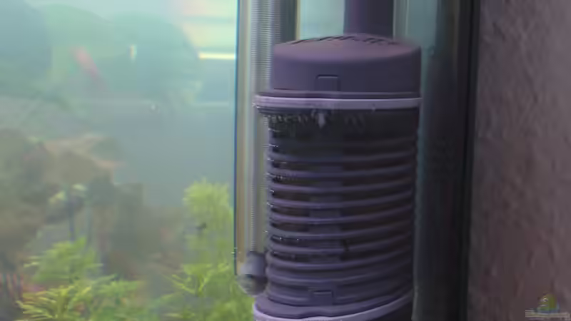 Vorfilter + Heizstab von Wall-E (29)