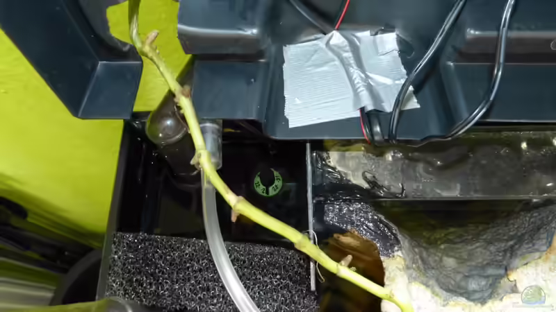 Vorfilter 27.08.13 von ~Marco~ (31)