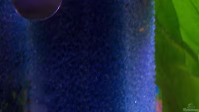 Vorfilter für Ausenfilter von Stefan Arenth (14)