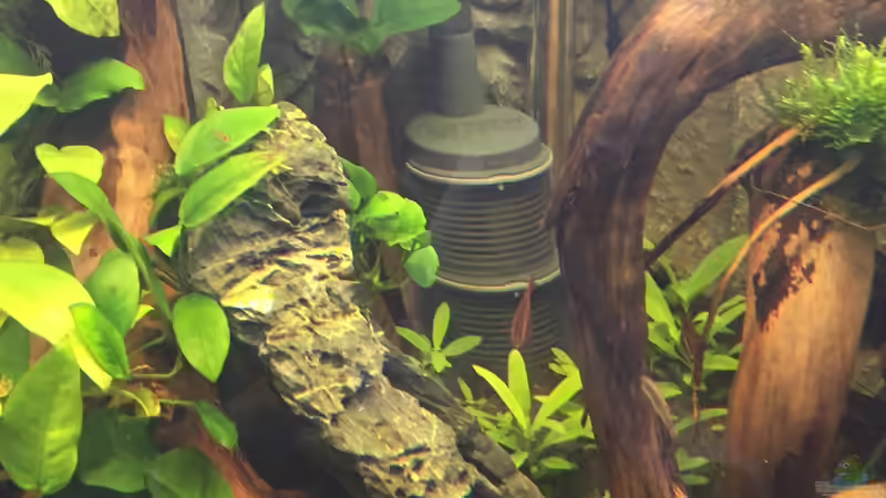 Vorfilter und Heizer von Danny (39)