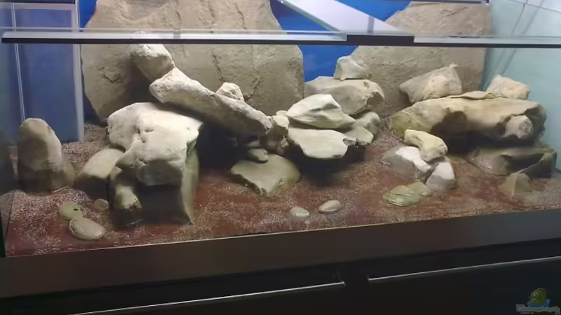 Vorfilterkammer hinten links von aquabert (14)