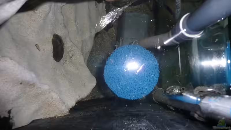 Vorfilterkammer mit Heizstab von DER YBBSTALER (68)