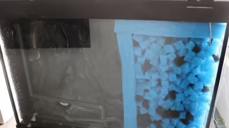 Vorfilterung hinter 3D Rückwand von Aquarienlandschaften (36)