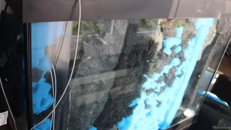 Vorfilterung hinter 3D Rückwand von Aquarienlandschaften (37)