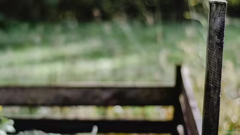 Vorgänge beim Kompostieren: So entsteht wertvoller Humus Schritt für Schritt