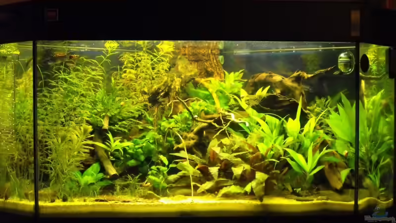 Vorher... von -serok- (2)