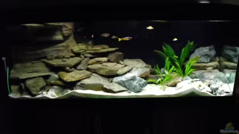 Vorher... von -serok- (2)