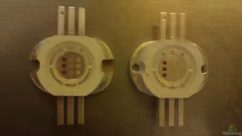 vorher - nachhher von Biffty (75)