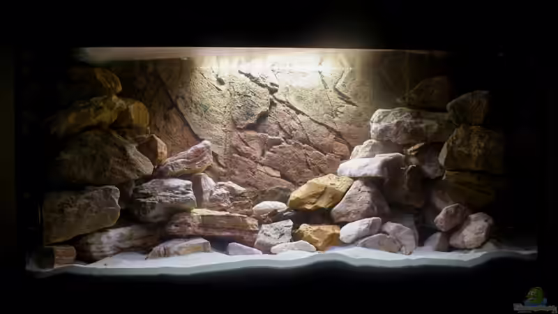 Vorher.. von MuBu (4)