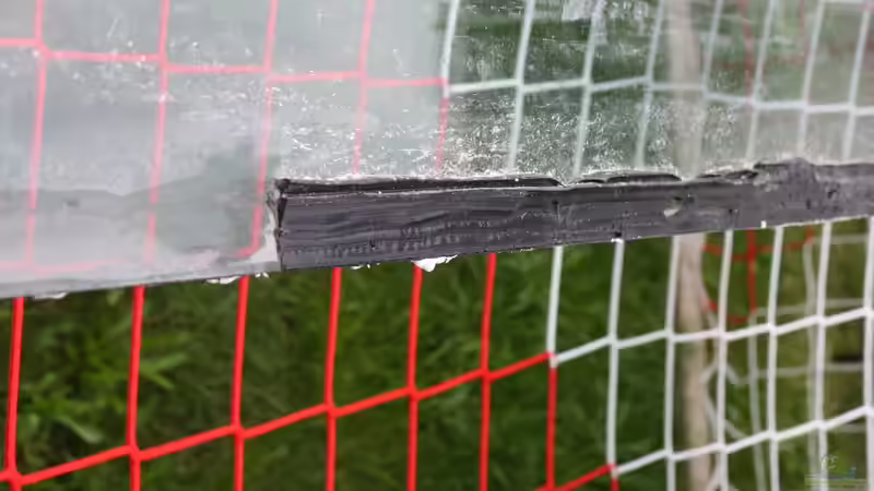 Vorher, Nachher von Fishers Friend (4)