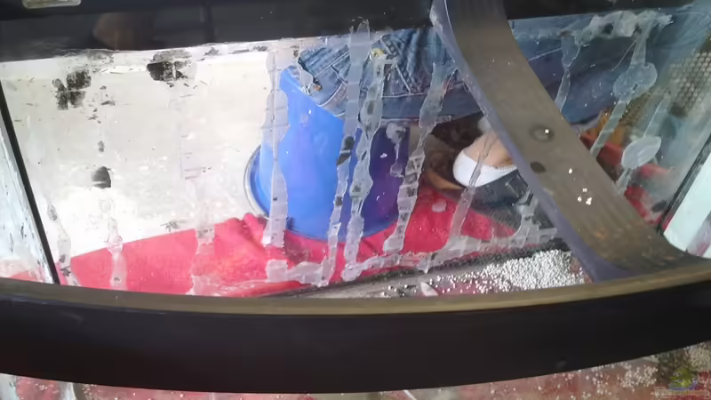 Vorher  von Koehler (2)