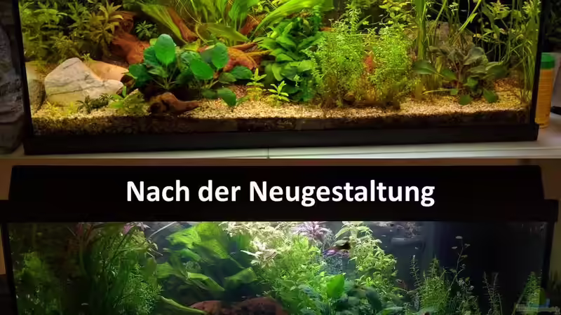 Vorher/Nachher Bild von Nicu (5)