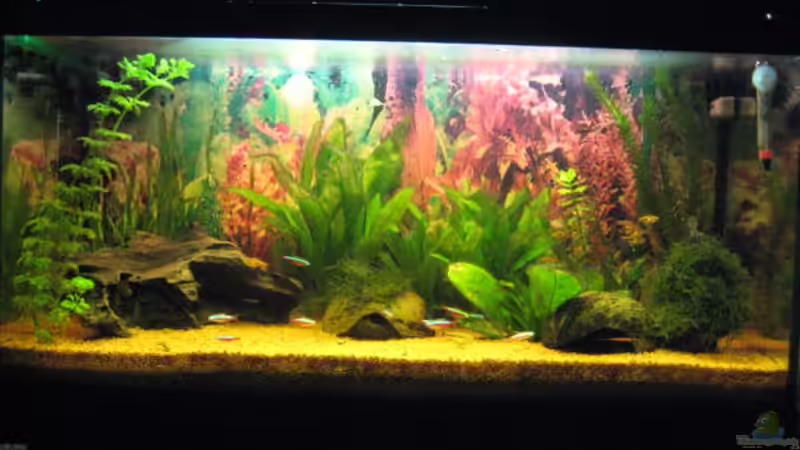 Vorher von -Marcel- (2)