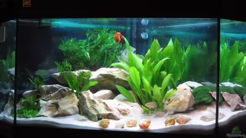 Vorher von -serok- (2)