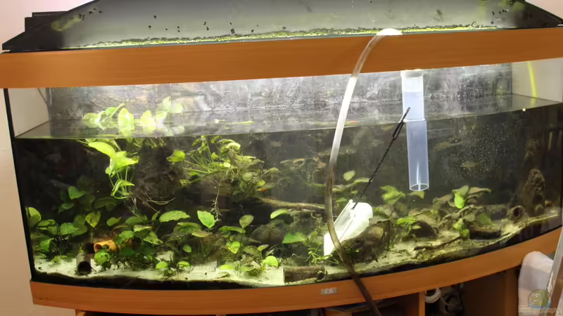 Vorher von MbunaTowers (2)