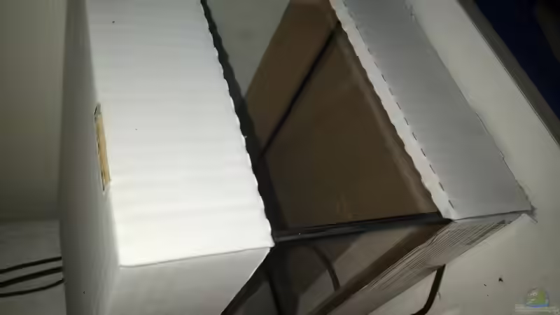 Vorher von Nelle (2)