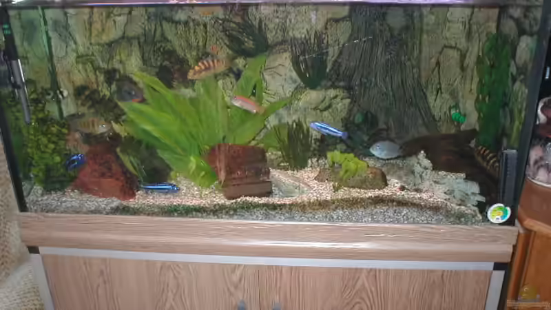 Vorher von Ulrich Rothärmel (3)