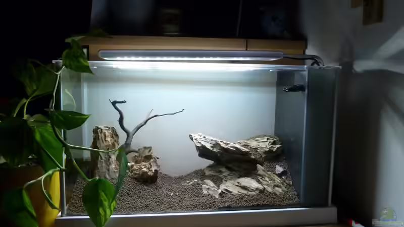 Vorheriges Layout von Martin W. (10)