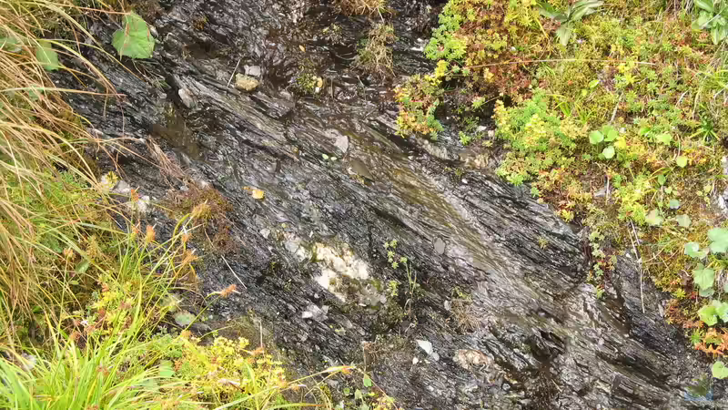 Vorlage aus der Natur (??sterreich, Rauris) von der Theoretiker (42)