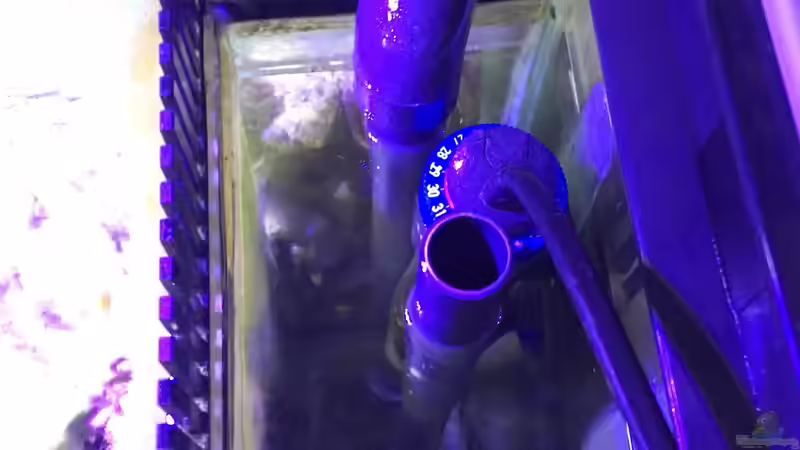 Vorlauf, Notablauf, Rücklauf und Heizstab von Cyano-Kanone (10)