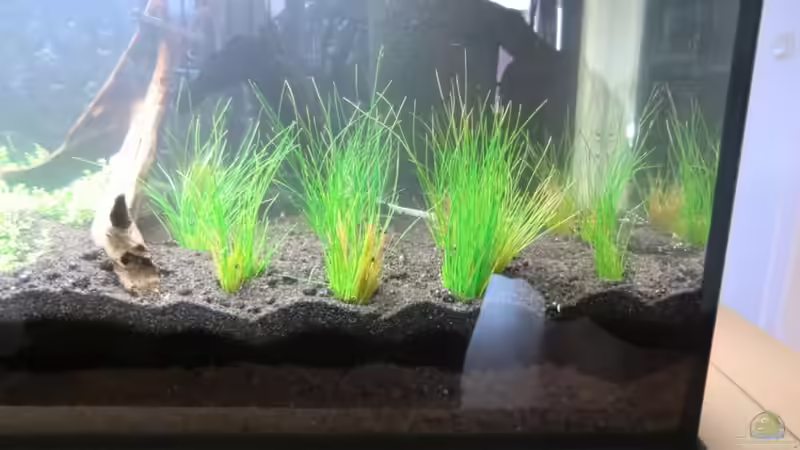 vorn rechts von Mark Wittig (3)