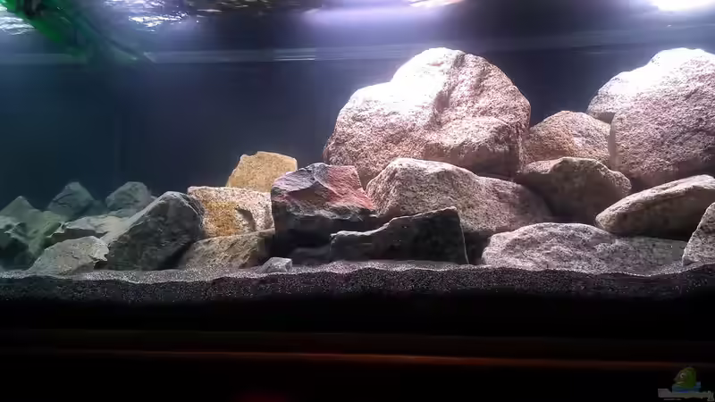 Vorne - 2x T8 - nicht mehr aktuell von Malawi_Einsteiger (2)