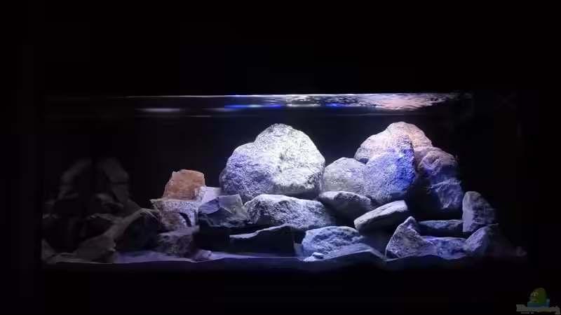 vorne LED + T8 von Malawi_Einsteiger (3)