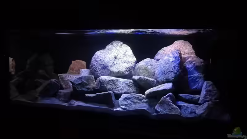 vorne LED + T8 von Malawi_Einsteiger (5)