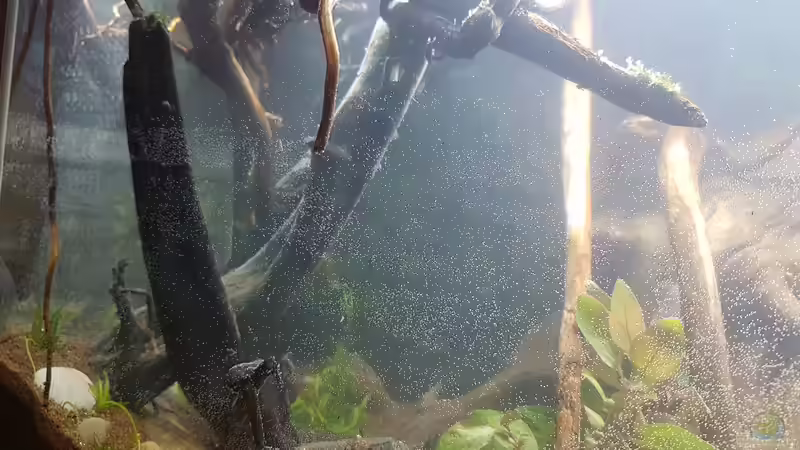 Vorne links von Kevin Engelsberger (32)