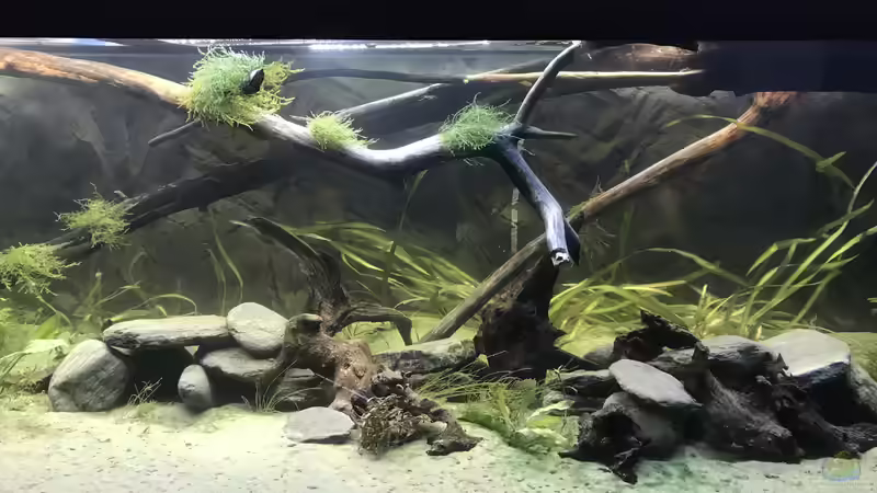 Vorne Mitte von Hannes Klotz (6)