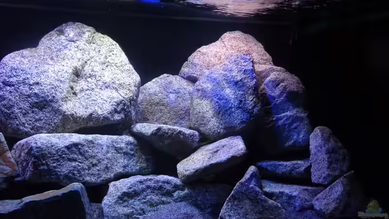 vorne rechts, LED + T8 von Malawi_Einsteiger (7)