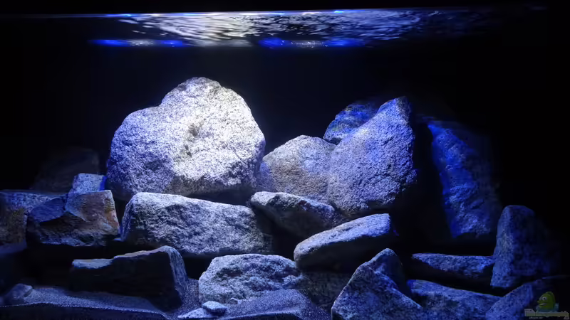 vorne rechts, LED von Malawi_Einsteiger (8)