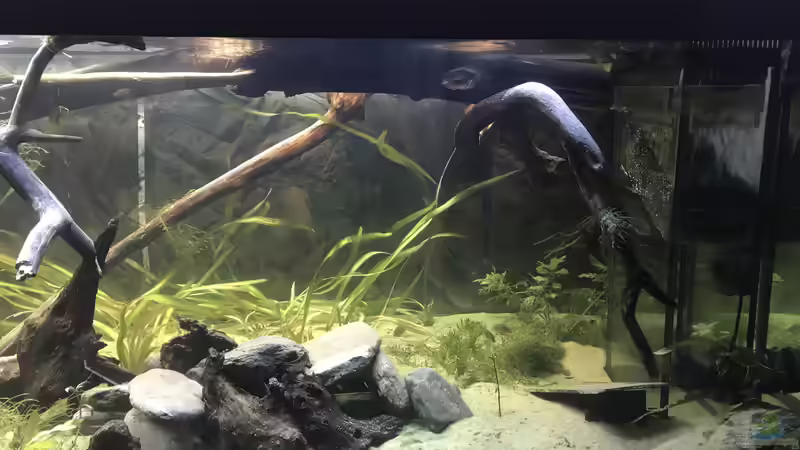 Vorne Rechts von Hannes Klotz (7)