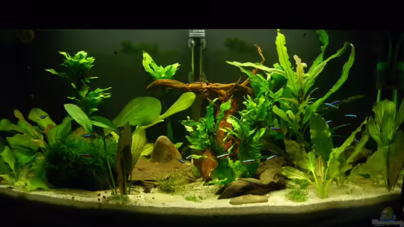 vorne von Alexander Eckel (1)