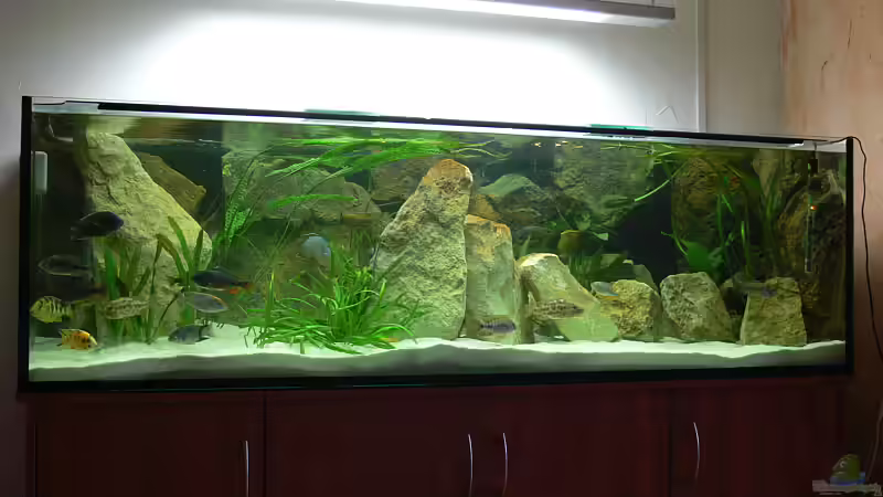 Vorrübergehender Fischbesatz Teil 2 von Christian Klar (8)