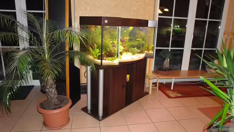 Vorsicht Aquarienbesitzer: Keine Fehler bei der Wahl der Balkontüre machen!